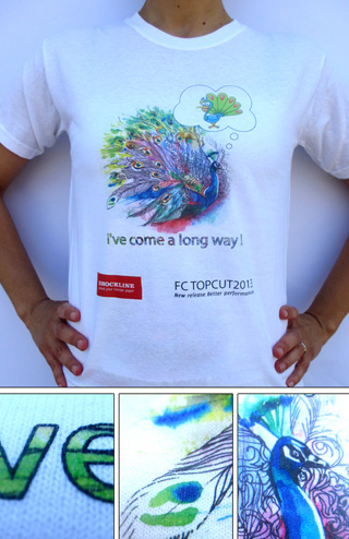Instructions Pdf
